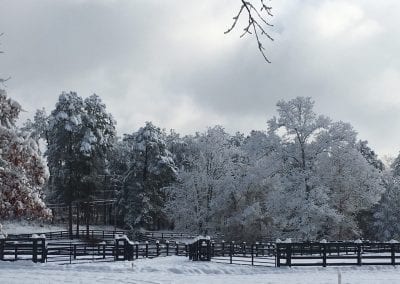 Winter landscape at Millstone Stables with snow-covered trees and fencing.