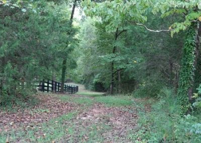 Scenic view of the wooded trail leading to Millstone Stables with lush greenery and a peaceful atmos.