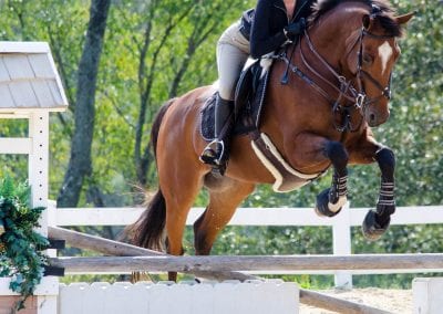 Horse jumping at Millstone Stables, equestrian training facility.