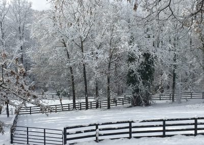 Winter horse paddock with snow-covered fencing and trees at Millstone Stables.