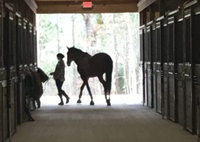 Indoor horse stable corridor at Millstone Stables with a person leading a horse outside.