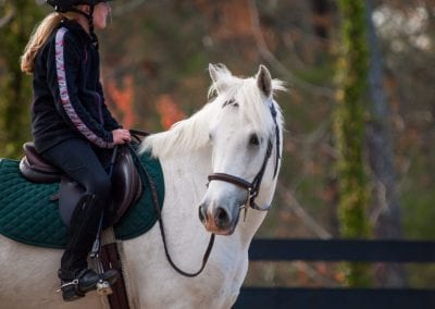 Horse riding lesson at Millstone Stables, scenic outdoor equestrian facility.