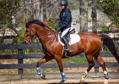 Equestrian rider practicing at Millstone Stables outdoor arena.