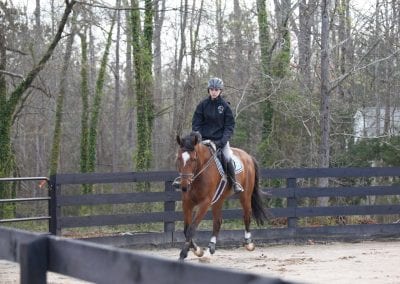Rider practicing dressage on a brown horse at Millstone Stables outdoor arena.