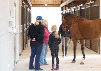 Equestrian facility with visitors and a horse in a stable corridor.